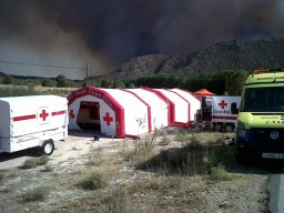 IMG00484-20120701-1748